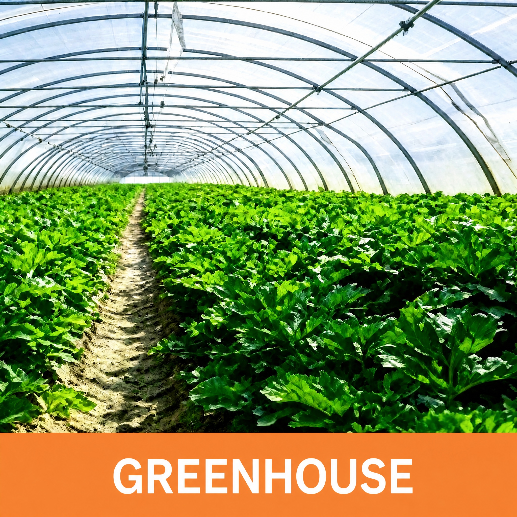 GREENHOUSE GREENHOUSE