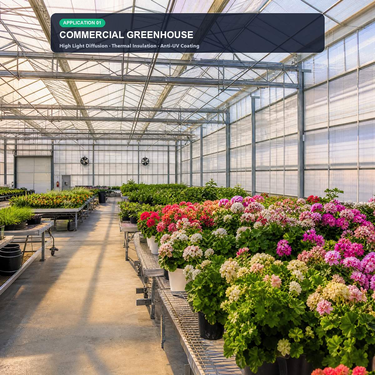 场景图-01_Greenhouse
